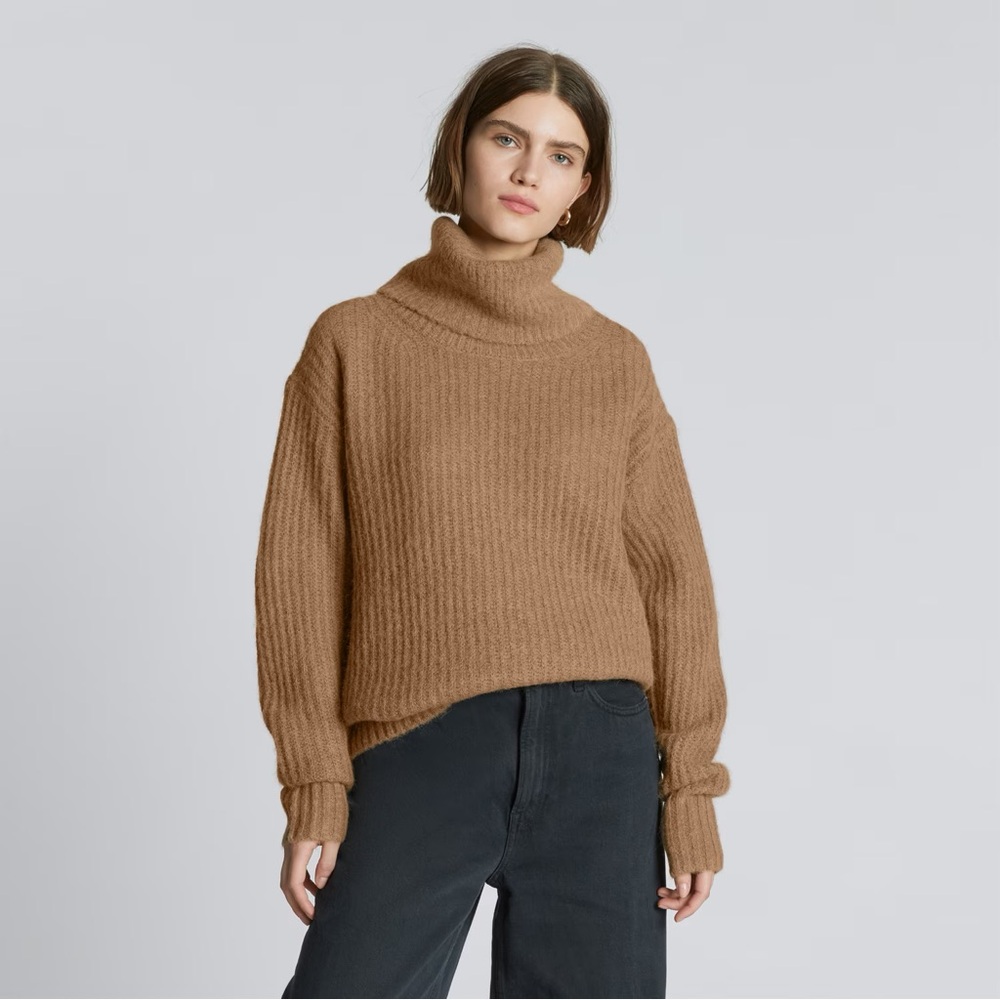 Everlane Alpaca Oversized Turtleneck